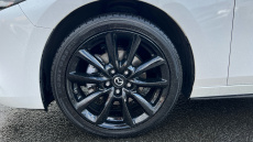 Mazda 3 2.5 e-Skyactiv G MHEV [140] Homura 5dr Petrol Hatchback